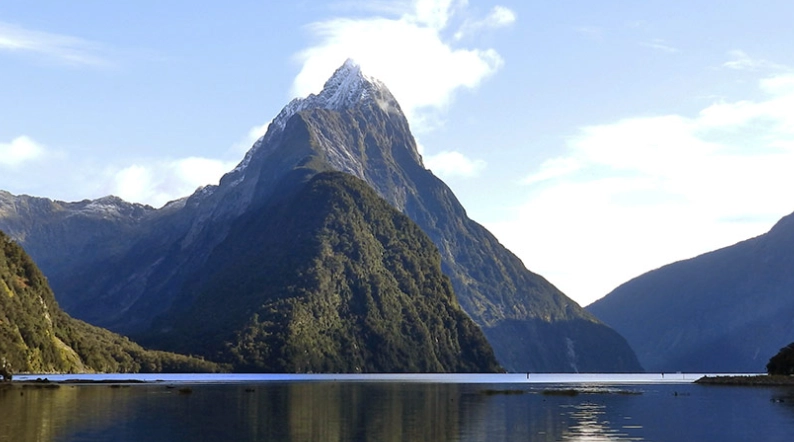 新西兰入境卡填写