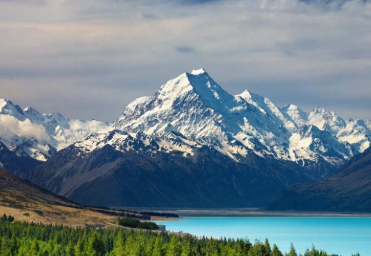 紐西蘭公共交通