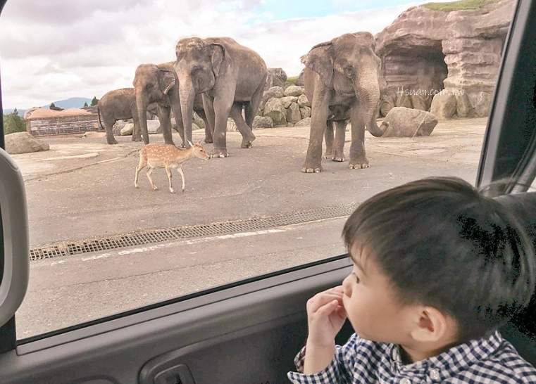 九州自駕遊景點