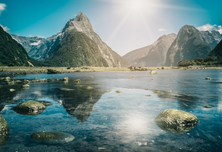 新西兰入境卡填写