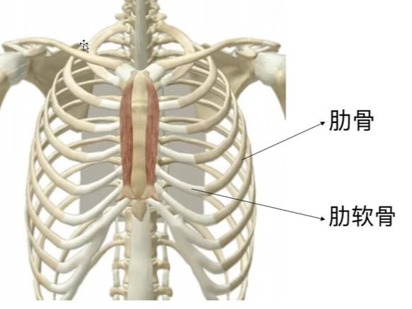 骨折後不能吃的食物
