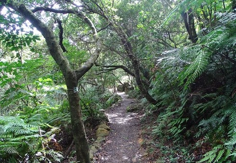 台北親山步道推薦