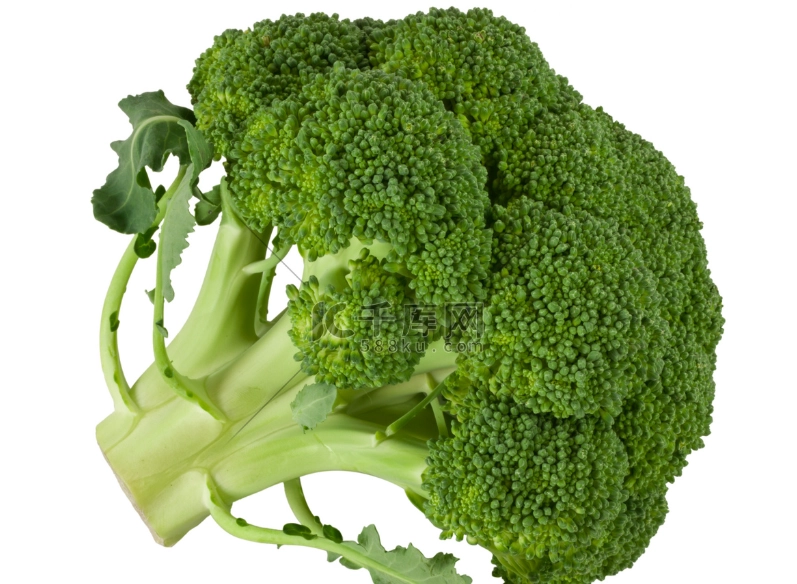 綠花椰菜蛋白質功效