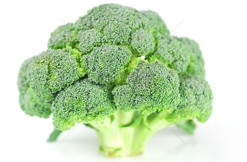 素食蛋白質來源