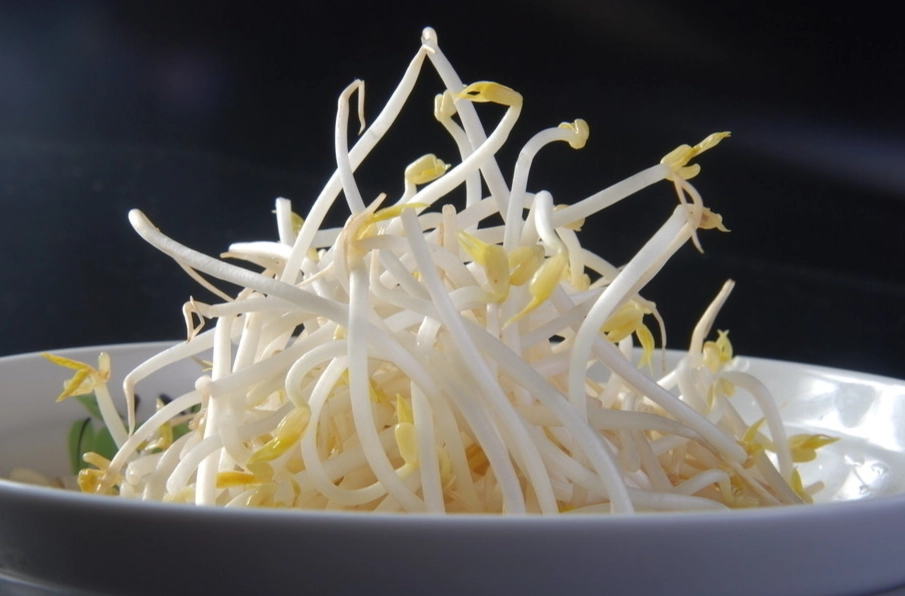 苜蓿芽生吃風險