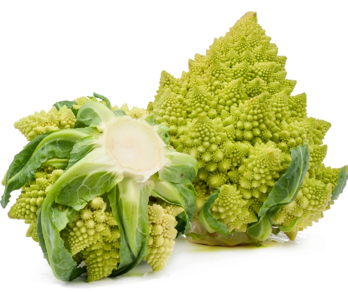 植物蛋白粉推薦