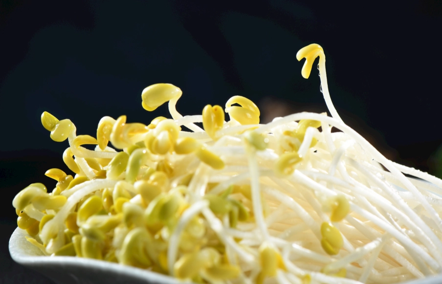 苜蓿芽生吃好處