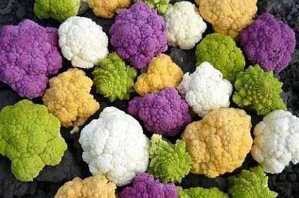 變色花椰菜安全食用