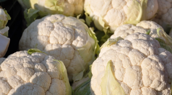 白花椰菜濃湯食譜