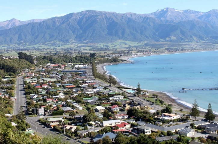 藥品申報紐西蘭