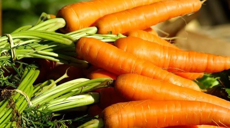 紅蘿蔔安全攝取量