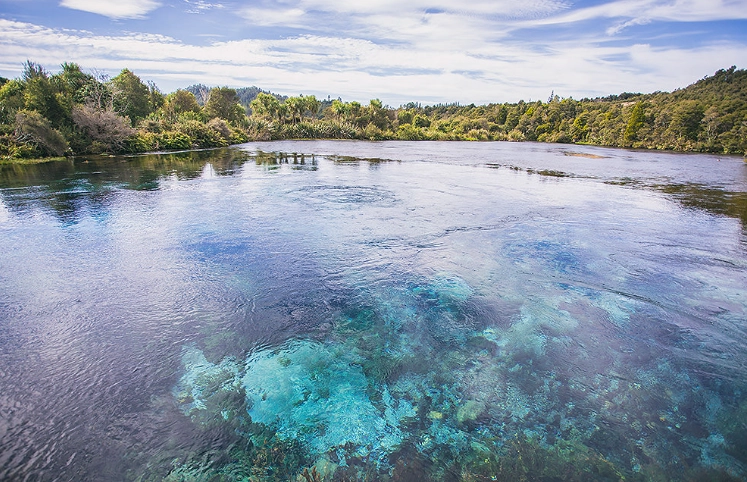 凱庫拉旅遊攻略