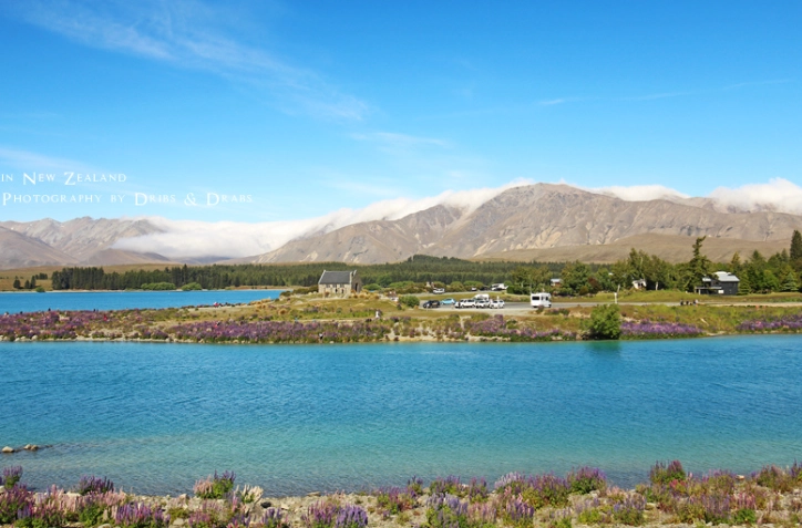 紐西蘭海關規定