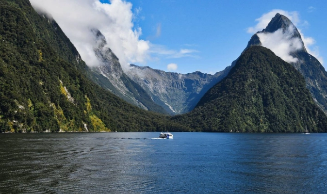 紐西蘭入境申報