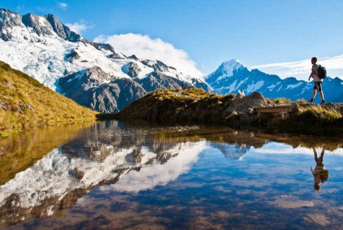 藥品申報紐西蘭