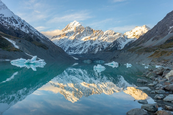 紐西蘭藥品入境規定