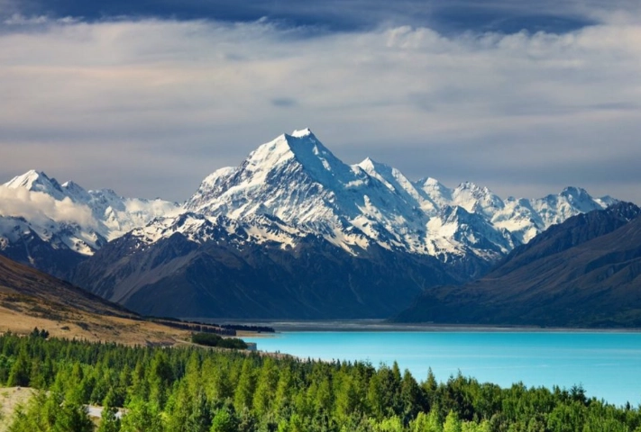 藥品申報紐西蘭