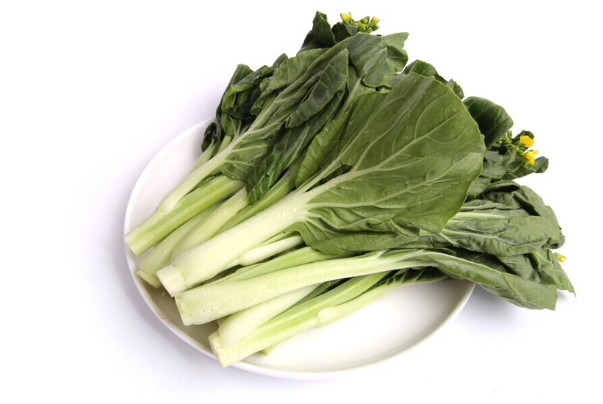 菜心食用禁忌