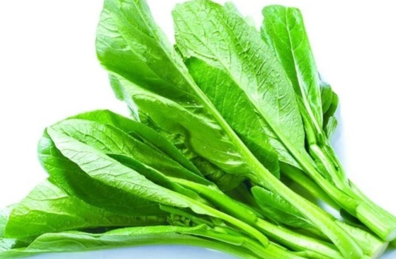 菜心苗與菜心差異