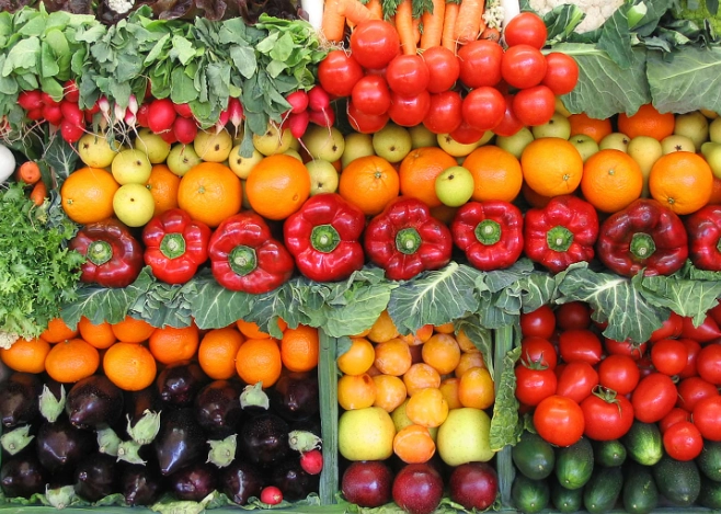 冬季蔬菜種植方法