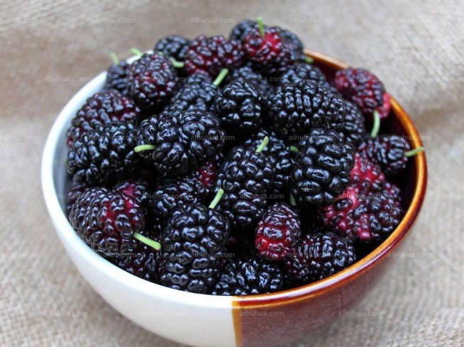 桑葚食用方法
