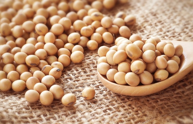 煮黃豆打豆漿方法