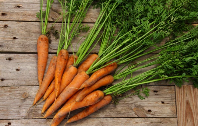 紅蘿蔔裂開處理方法