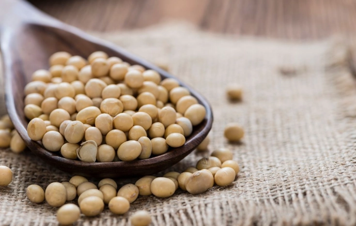 泡黃豆注意事項