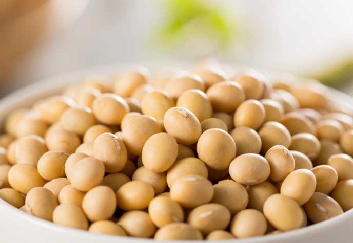 黃豆浸泡時間