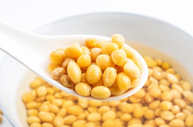 黃豆 種類 比較