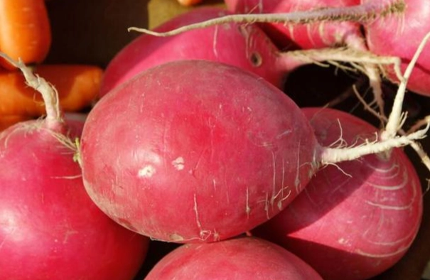 裂開紅蘿蔔安全嗎