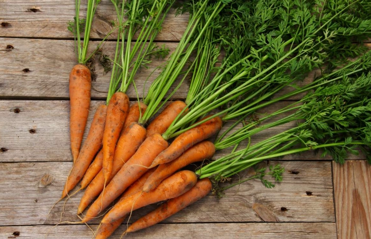 紅蘿蔔食用安全