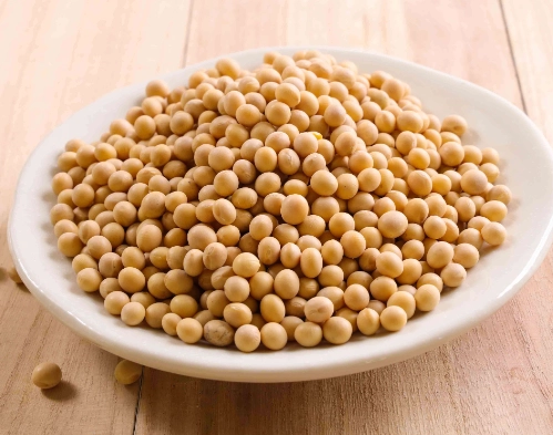 米豆 黃豆 區別