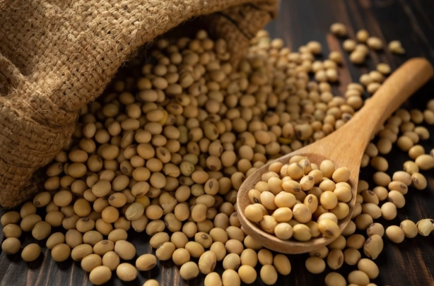 米豆 黃豆 區別