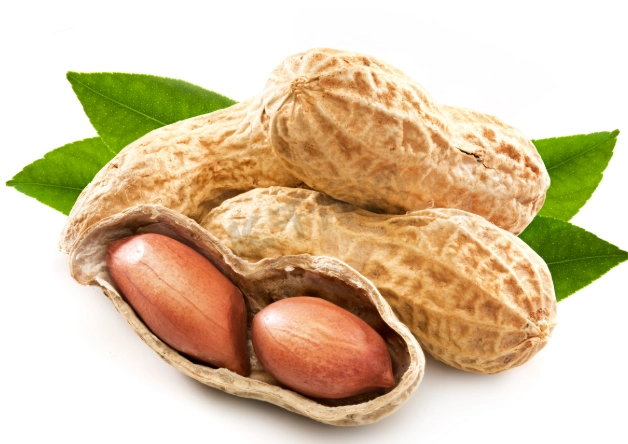 花生營養價值