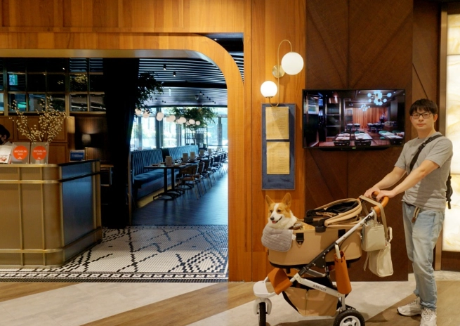 帶寵物用餐指南