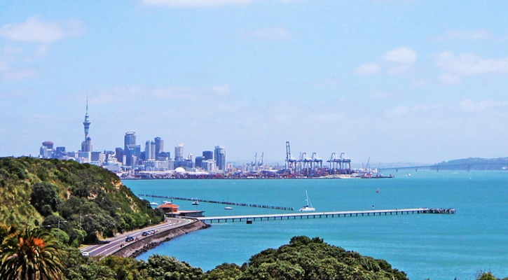 紐西蘭右駕規則