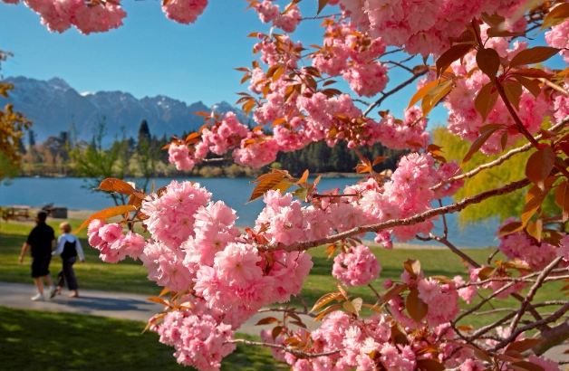 紐西蘭天氣穿搭