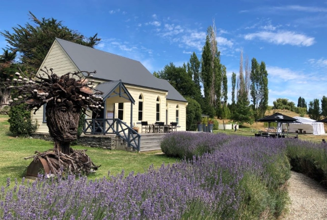 纽西兰葡萄酒旅游