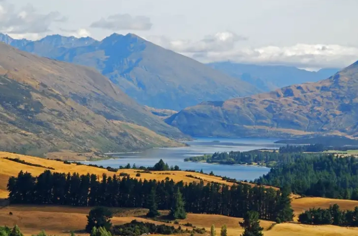 台灣到紐西蘭航班