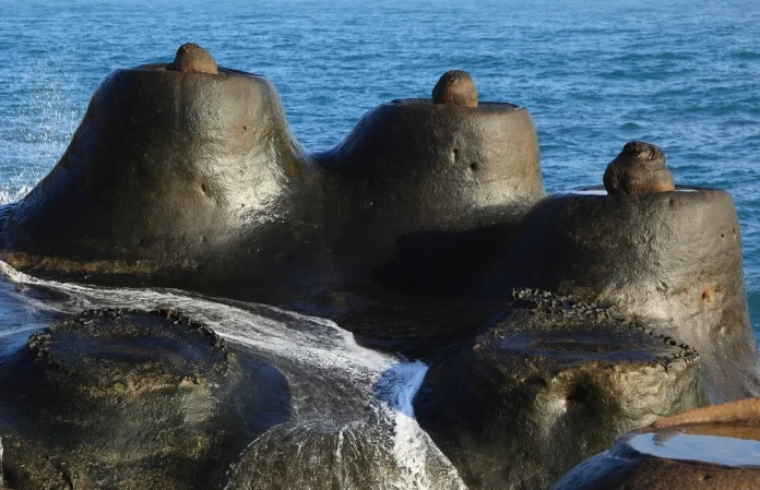 野柳地質公園步行時間