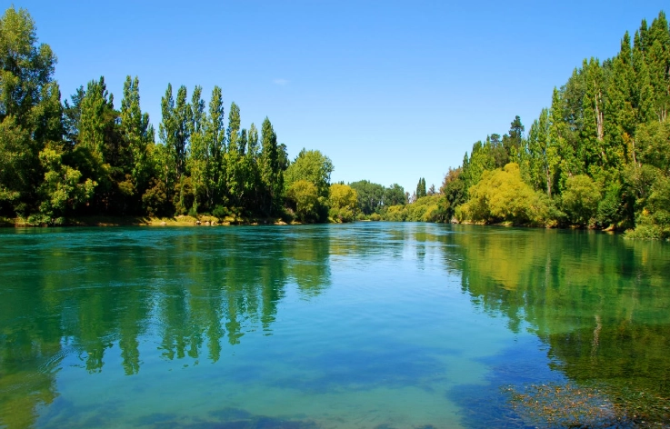 紐西蘭飛行時間