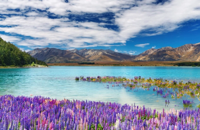 紐西蘭旅遊規劃