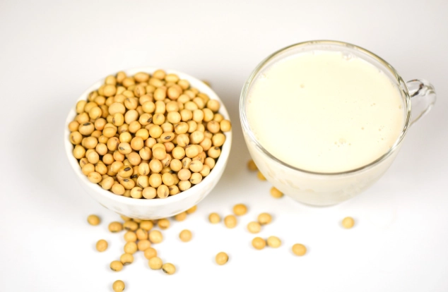 藥物豆漿交互作用