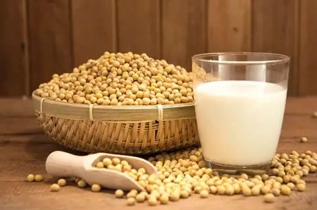 破壁機 豆漿 比例