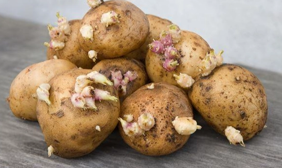 馬鈴薯蘋果食譜