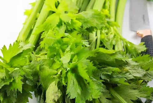 西洋芹生吃