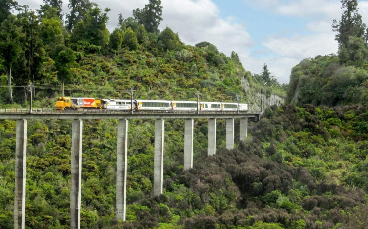 奧克蘭威靈頓旅行
