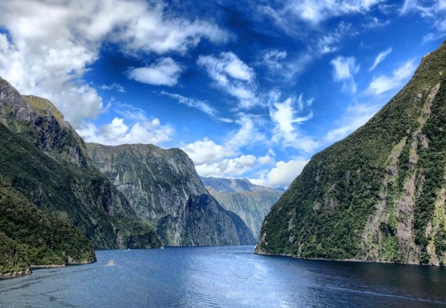 紐西蘭人口結構