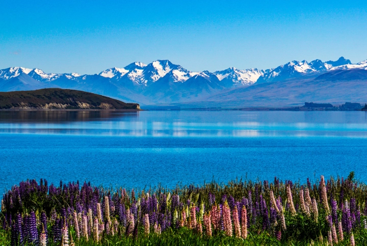 紐西蘭國內旅遊攻略